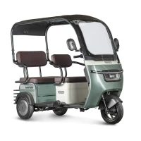 Электротрицикл Rutrike Gelbert Sarin 48V/60V 1000Вт Зеленый
